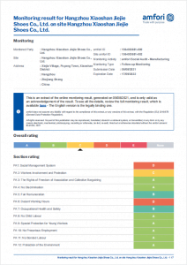 WalkNice amfori Certification